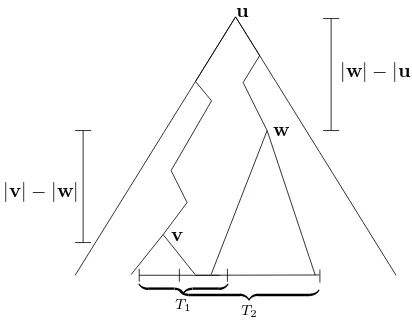 Figure 4.2: Deﬁnitions of u, v, w.
