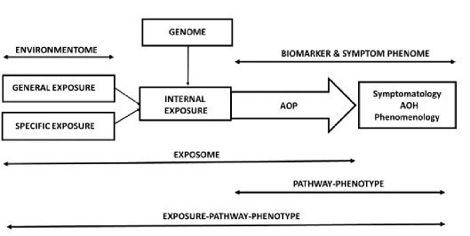Figure 1: Associations between genome and exposome (consisting of general as well as specific exposures) ultimately leading to adverse outcome pathways (AOP) that cause adverse outcome health effects, namely the clinical phenome of depression (symptoms and
