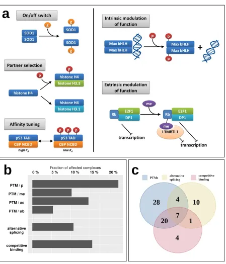 Figure 4: Regulatory mechanisms of MSF complexes.       ​​ ​(a) examples of regulation and modulation      of function through post-translational modifications