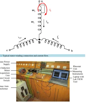 Figure 2. Typical stator winding connection and current flow.                                                     