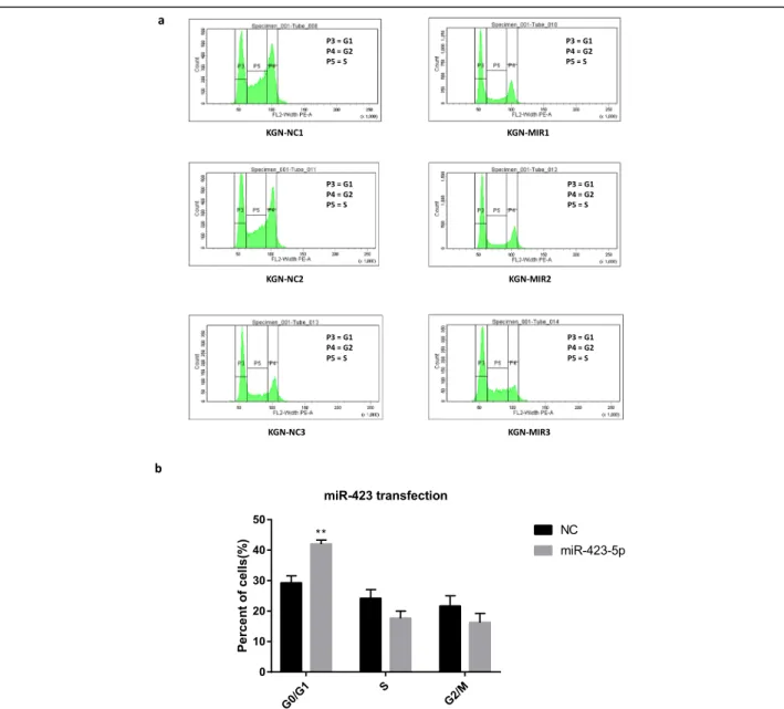 Fig. 3 Overexpression of hsa-miR-423-5p blocked the cell cycle progression of KGN cells