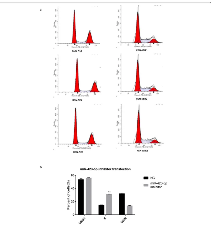 Fig. 4 Decreased expression of hsa-miR-423-5p enhanced cell cycle progression of KGN cells