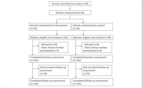Fig. 1 Study flow diagram