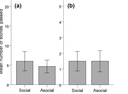 Table 2. Individual performance in the social and asocial conditions (Test 2b).