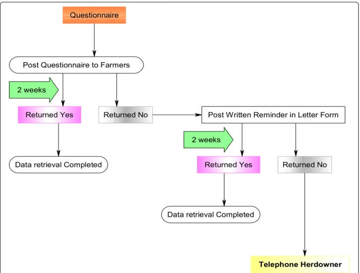 Figure 2 Flow diagram illustrating Leptospira Hardjo questionnaire timeline.
