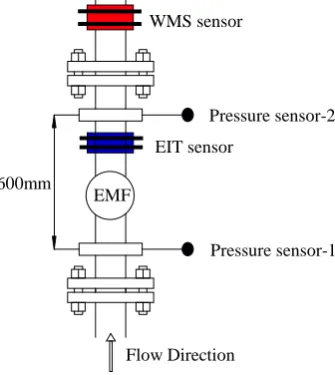Figure 2 below. Wire-mesh sensor, ERT sensor and electromagnetic flowmeter (EMF) are installed along the vertical Perspex pipe with 500 mm inner diameter