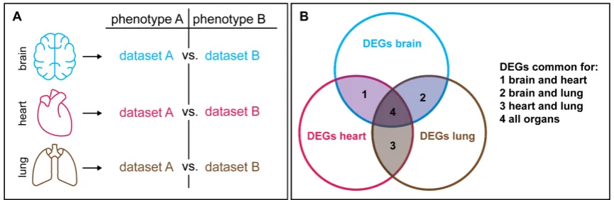 Figure 2. Generic factors that across different tissue can be excluded in correlation studies