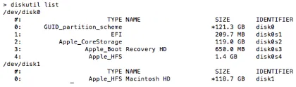 Figure 3: output of diskutil list run on a Mac Book Airwith FileVault 2 enabled.