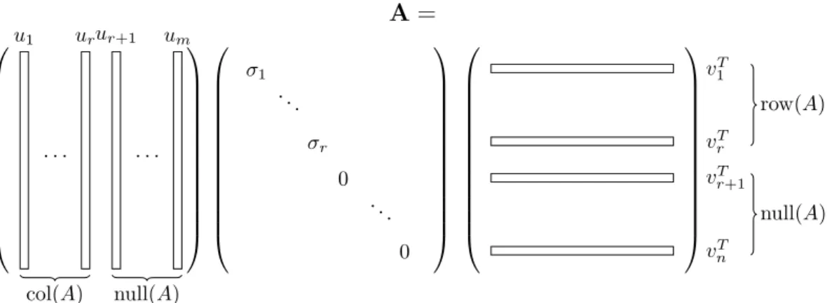 Figure 2: Singular Vector Decomposition components