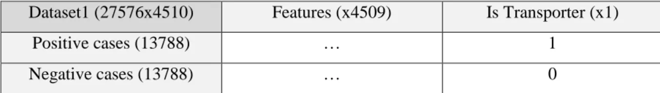 Table 5- Dataset1 content 