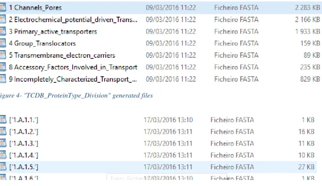 Figure 4- "TCDB_ProteinType_Division" generated files