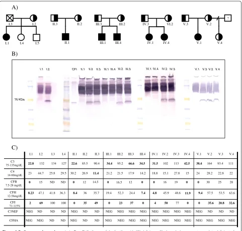 Figure 1 Pedigrees and complement studies. AC3, C4, CFB, CFH, CFI, C3NeF and CFHA plasma levels