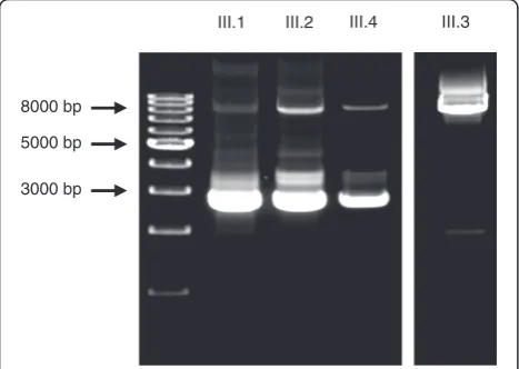 Table 1 Summary of the CFI mutations identified in the five families