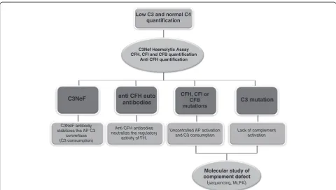 Figure 3 Schematic model of the CFI protein and gene. The protein domains, exon/intron gene structure and the mutations found in ourseries are depicted.