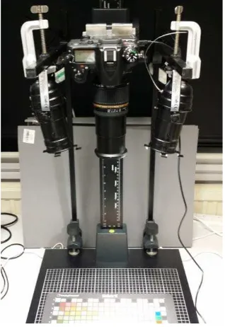 Figure 2: Stereo capture system.