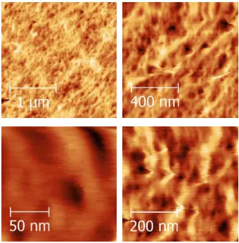 Figure 3. Variation in apparent pore size as a function of scan area.  