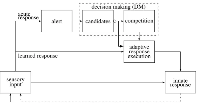 Figure 1: The R process (general version). Arrows: excitatory ﬂow. Thick line: coarseresponse