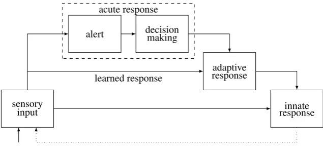 Figure 1: The general R process (without brain-unique aspects). Arrows indicate excitatoryﬂow