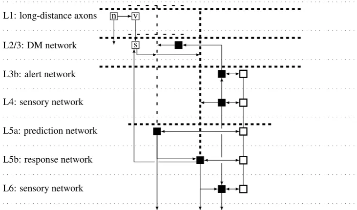 Figure 5: Intra-node connections. Only the main patterns are shown. Thalamic inputs,inter-node connections and the RSN are not shown