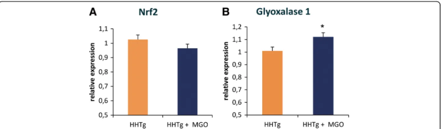 Fig. 2 Effect of MGO treatment on relative expression of nuclear factor NRF2 and the GLO1 enzyme in the kidney