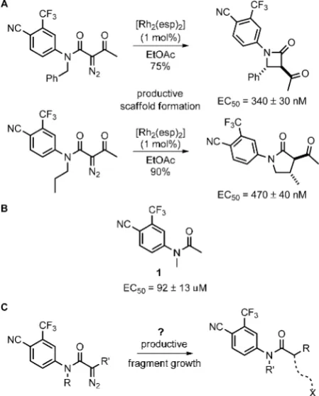 Figure 1. Discovery of novel androgen receptor agonists by ADS.A) Discovery of novel chemotypes enabled by intramolecular metal-catalyzed carbenoid reactions.[4] B) Core fragment for elaboration.C) Envisaged exploitation of intermolecular metal-catalyzed reactionsto drive productive fragment elaboration.
