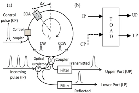 Figure 1. (a) A TOAD based optical switch with single control pulse (CP), where SOA: Semiconductor optical amplifier, CW: Clockwise pulse, CCW: Counterclockwise pulse and Δx: asymmetric distance