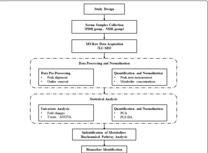 Fig. 2 Workflow overview of the comprehensive analysis of metabolomics in patients with type-2 diabetes