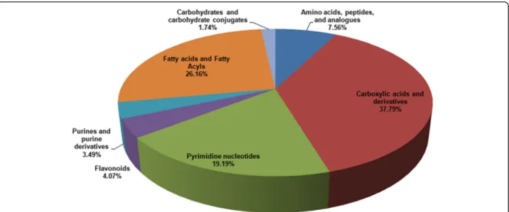 Fig. 4 Metabolite classification analysis. Pie chart of differentially metabolomics showed that the 1027 metabolites mainly involved carboxylic acids and derivatives (37.79%), fatty acyls and fatty acid esters (26.16%), pyrimidine nucleotides (19.19%), ami