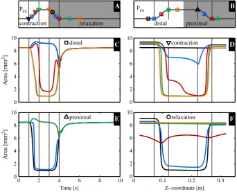 Figure 5. Venous cross-sectional area in the reduced conﬁguration without valves (Figure 2A) over time(C and E) and over the z-coordinate (D and F) with the corresponding extravascular pressure on top (B andA, respectively)