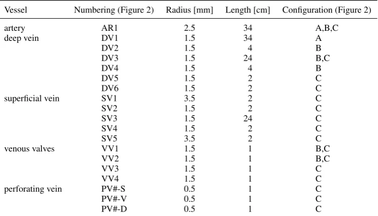 Table I. Geometrical parameters of the different vessels [16] as depicted in Figure 2.