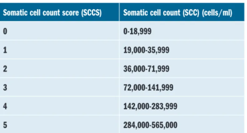 Table 1: Somatic cell count scores (SCCS) and associated ranges in somatic cell  counts (SCC) (cells/ml) (Smith et al
