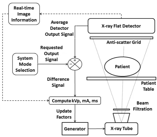 Figure 1. Single frame from a left coronary angiogram sequence.
