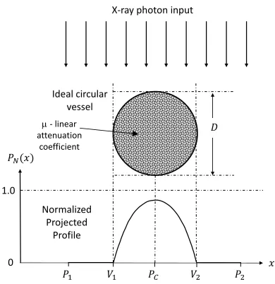 Fig 6 Normalized cross-sectional proﬁle.