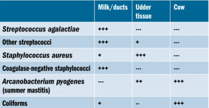 Table 1: Where to target antimicrobial therapy in clinical mastitis due to different  pathogens (Erskine 2003)