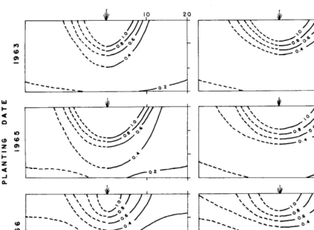 FIG. 3. Development of Premier sideoats grama grass root systems with time when planted on a normal field density area with half the plots chiseled