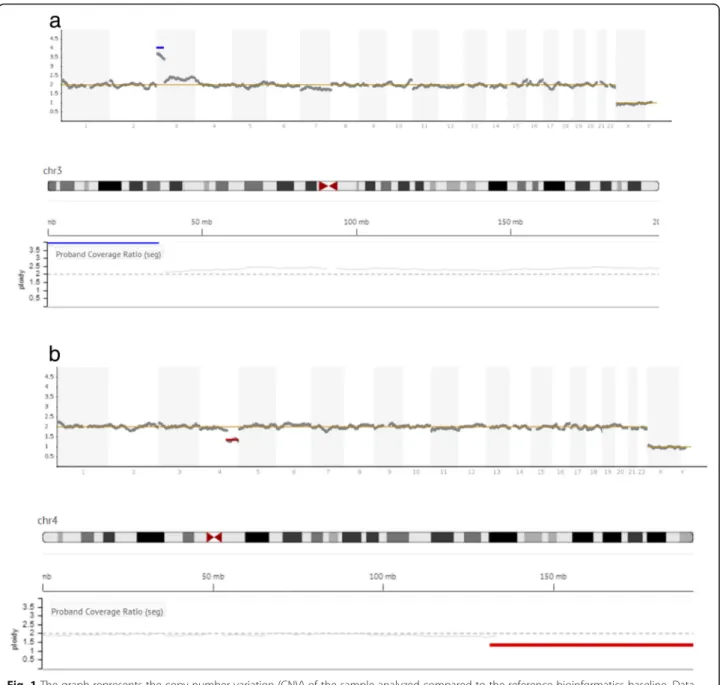 Fig. 1 The graph represents the copy number variation (CNV) of the sample analyzed compared to the reference bioinformatics baseline