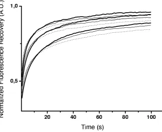 Figure A1. Monte-Carlo simulation of normalized ﬂuorescence recoveries in the case of CTRWanomalous subdiffusion(thin line) ; 0.8 (thick line)