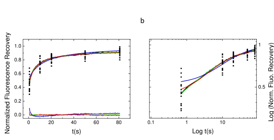 Figure 3. Average experimental recovery curve ﬁtted by the three diffusion models. The threethat only the bM model ﬁt is inaccurate