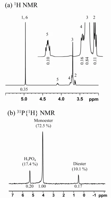 Figure 1. 1pH 13.  H and 31P{1H} NMR spectra of PEG-P in D2O at  