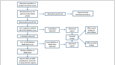 Figure 4 Algorithm for testing for Krabbe disease in affected individuals.