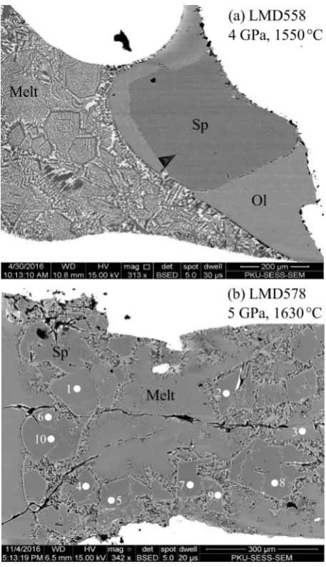 Figure 2. Typical electron back-scatter images: (a) LMD558 at 4 GPa and 1550 LMD578 at 5 GPa and 1630 many Sp grains were found on the exposed sample surface of LMD578, coexisting with Grt grains (not shown in (b); MgoC; (b) oC