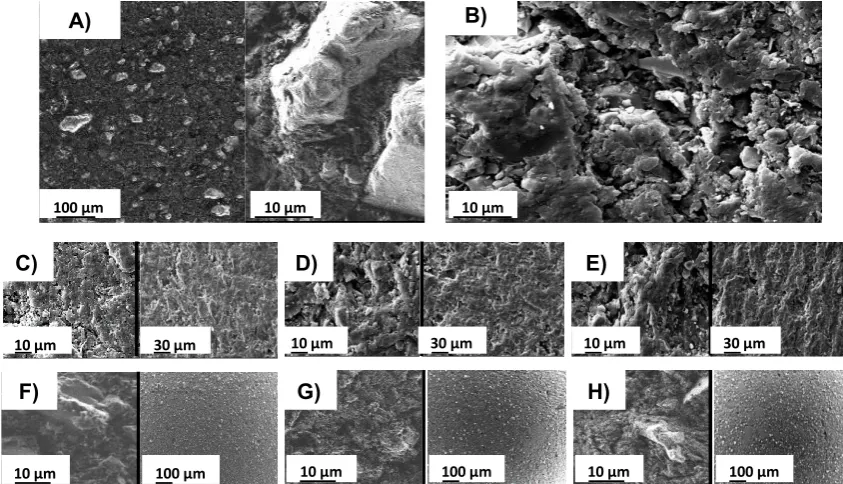 Figure 1. Scheme of the functionalization process (A), NDs TEM image and EDS (B), Ag@NDs TEM image and EDS (C) and Au@NDs TEM image and EDS (D)