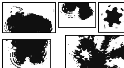 Figure 3. Examples of diffraction fringes around out-of-focus im-ages measured by CIP at 15 µm pixel resolution