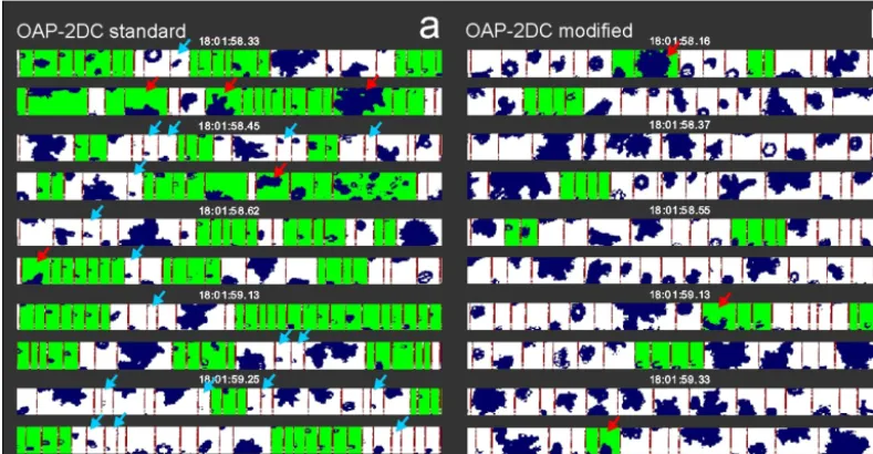 Figure 6. Examples of the results of the image rejection/acceptance processing with the inter-arrival time algorithm