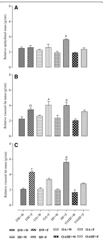 Fig. 4 Effect of neonatal oral administration of oleanolic acid and fructose on relative epididymal fat mass (a), and visceral fat mass in male (b) and female (c) rats fed a high fructose diet