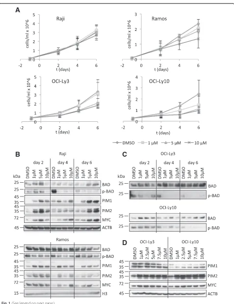 Fig. 1 (See legend on next page.)