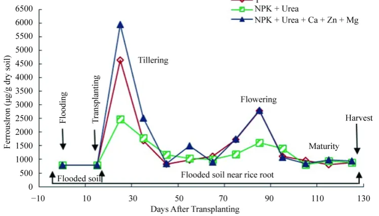 Table 4. Variance of ferrous iron content in soil near rice roots in relation to fertilization and rice growth stage during the cultural cycle of BOUAKE-189 and ROK-5 rice varieties in pots not fertilized (T), and in NPK + Urea and NPK + Urea + Ca + Zn + M
