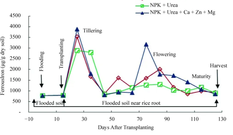 Table 6. Effect of fertilization on iron content in the parts of BOUAKE-189 and ROK-5 rice plants in pots not fertilized (T), fertilized with NPK + Urea and NPK + Urea + Ca + Zn + Mg (means of 3 replicates)
