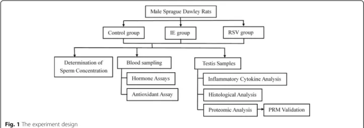 Fig. 1 The experiment design