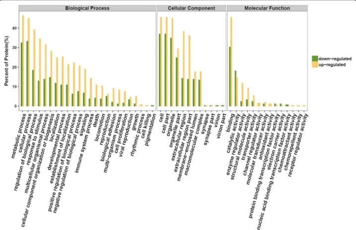 Fig. 5 Comparison of upregulated and downregulated differentially expressed proteins according to Gene Ontology (GO) terms